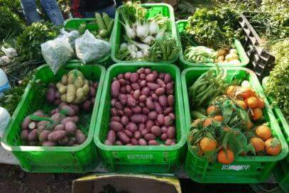 agroecologia vila verde