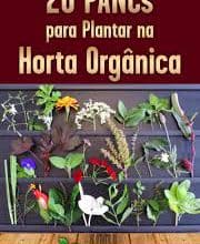 Vila Verdes e as Pancs