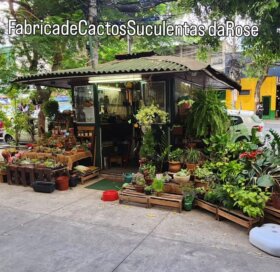 Fachada da loja Fábrica de Cactos e Suculentas da Rose no Rio de Janeiro