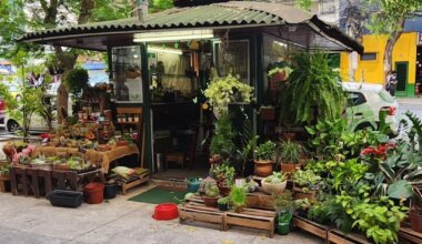 Fachada da loja Fábrica de Cactos e Suculentas da Rose no Rio de Janeiro