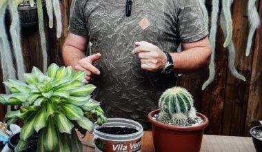 Vando e Fabi, parceiros da Vila Verde, com plantas cultivadas sem agrotóxicos