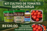 Kit Explosão de Tomates Vila Verde com Bokashi, Terra de Diatomáceas e Fertilizante Orgânico LAB Turbinado