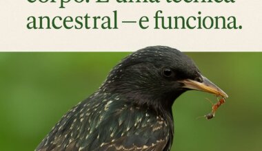 Pássaro esfregando formigas no corpo como forma de proteção natural, comportamento chamado anting.